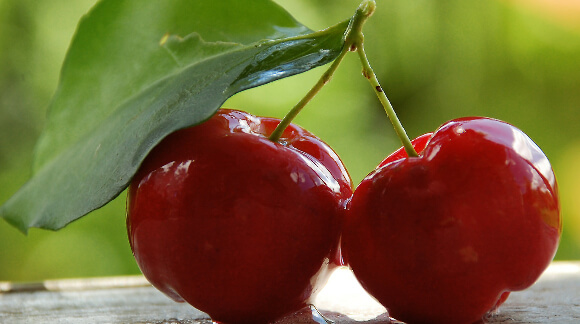 acerola