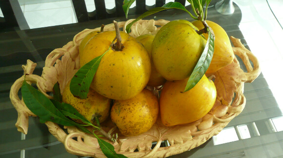 lucuma egg fruit