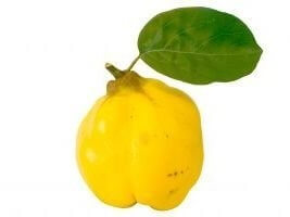 Pigwa - skarb jesieni