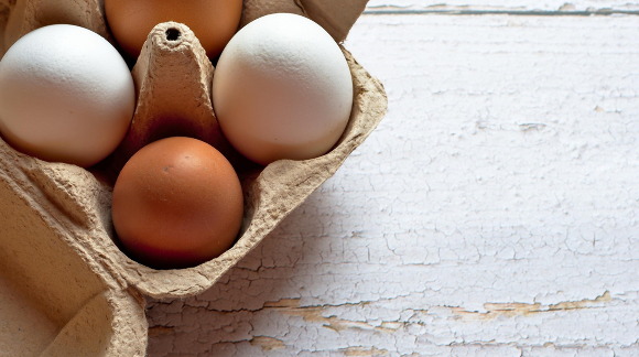 Jajka faszerowane, Susz jajeczny